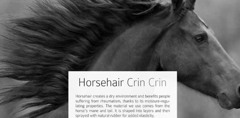 A close-up of a horse's head in motion, showcasing its flowing mane. The text highlights the benefits of horsehair for mattress comfort and elasticity.